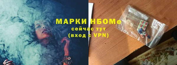 дживик Богородицк