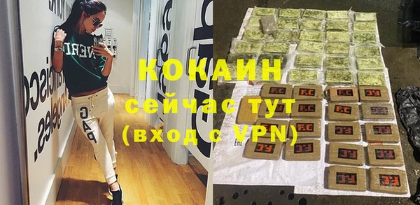 дживик Богородицк