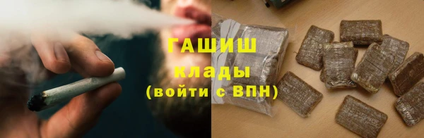 СК Богородск