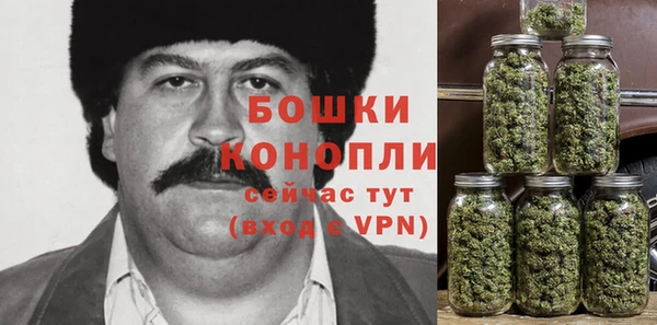 дживик Богородицк