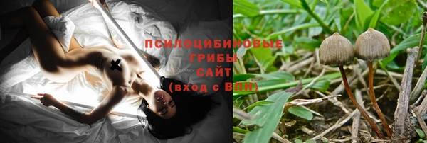 СК Богородск