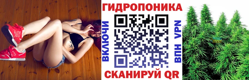 shop наркотические препараты  Рыбинск  Марихуана ГИДРОПОН 